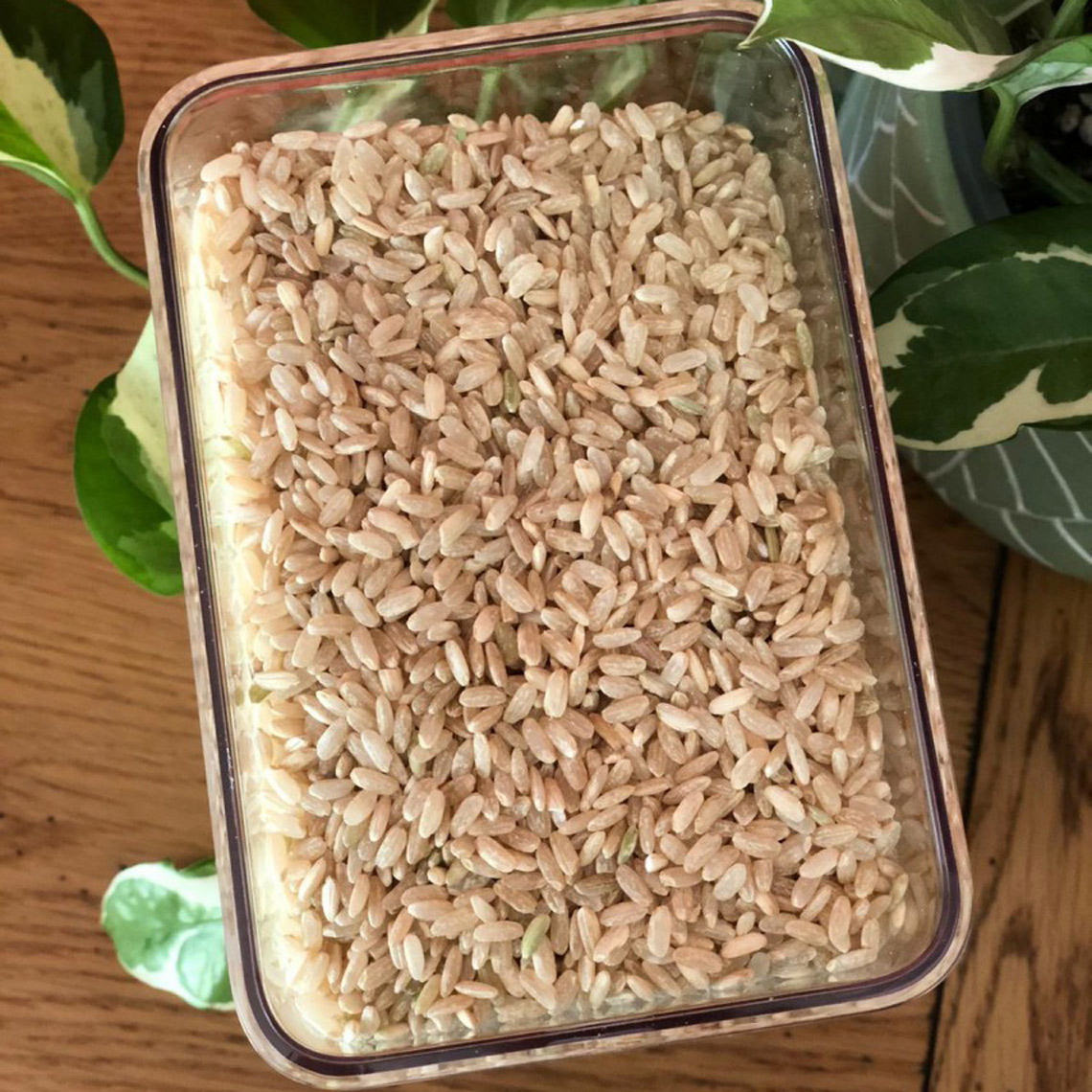 Riz long semi complet bio