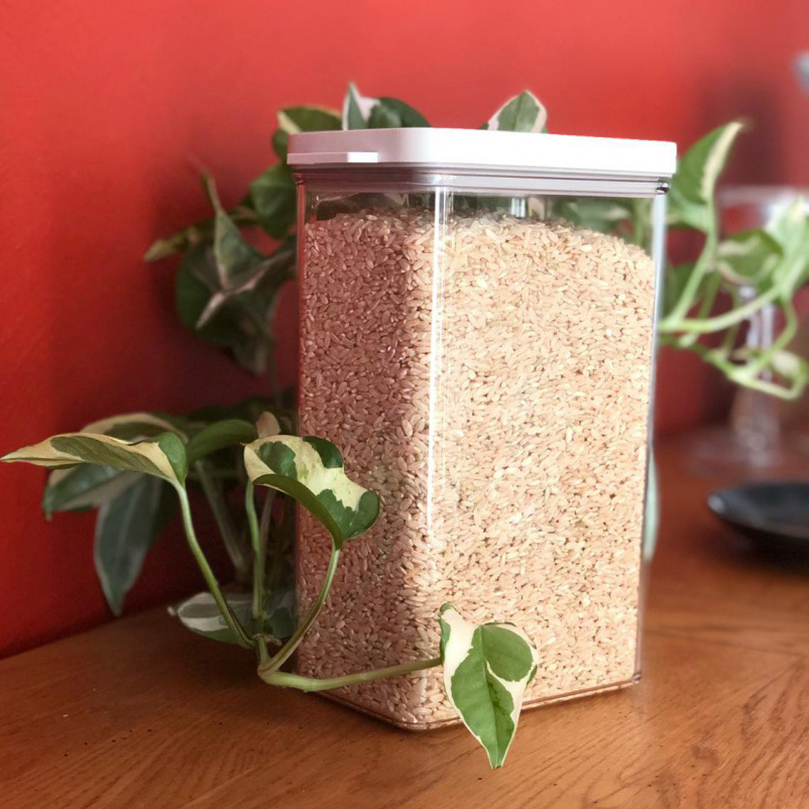 Riz long semi complet bio