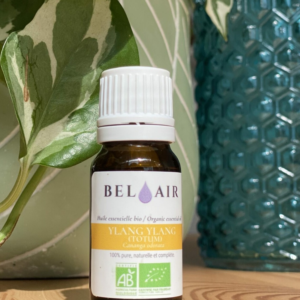 Ylang ylang (Complète) - Huile essentielle bio 10ml (DDM FIN 02/26)