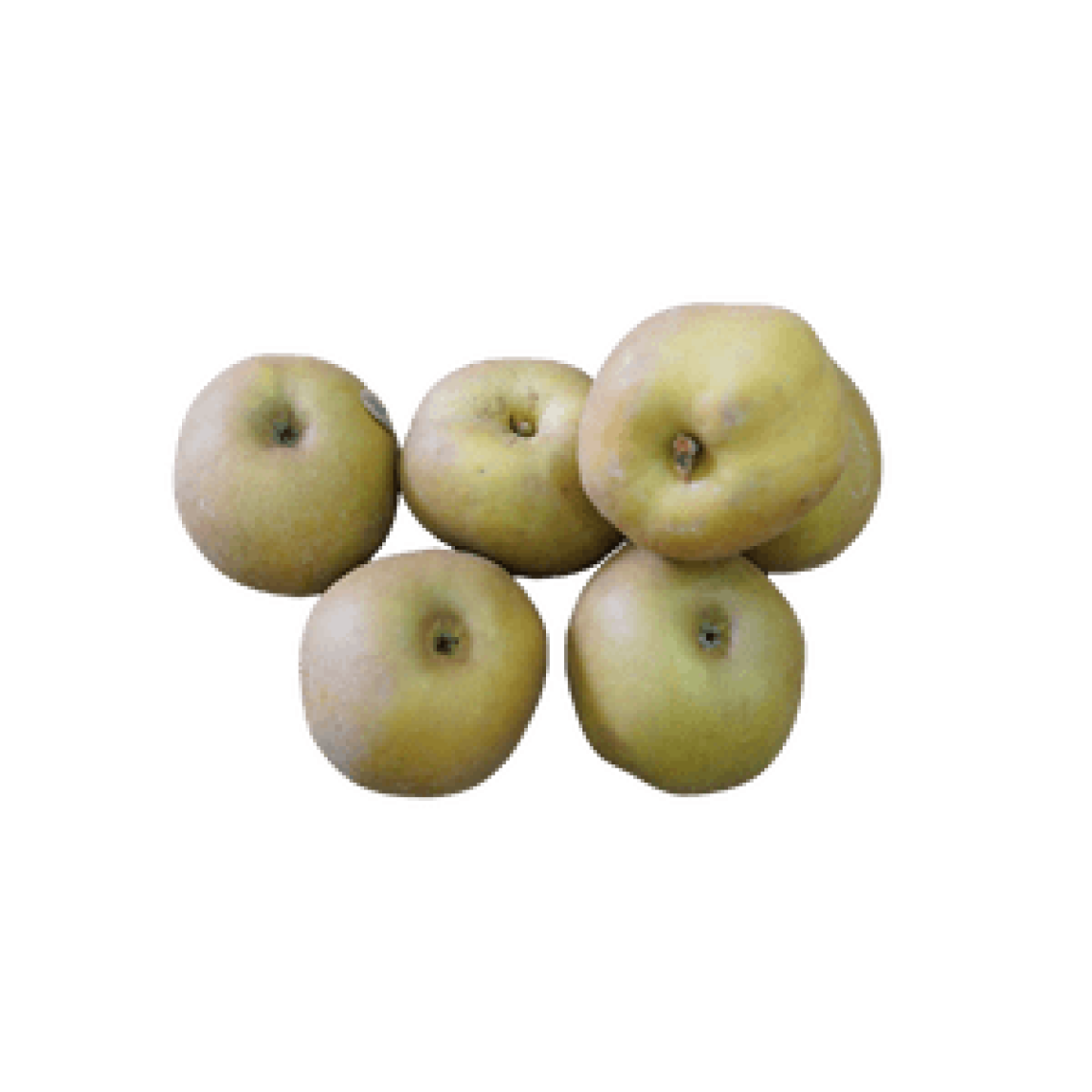 Pomme Canada Grise (1 kg) 