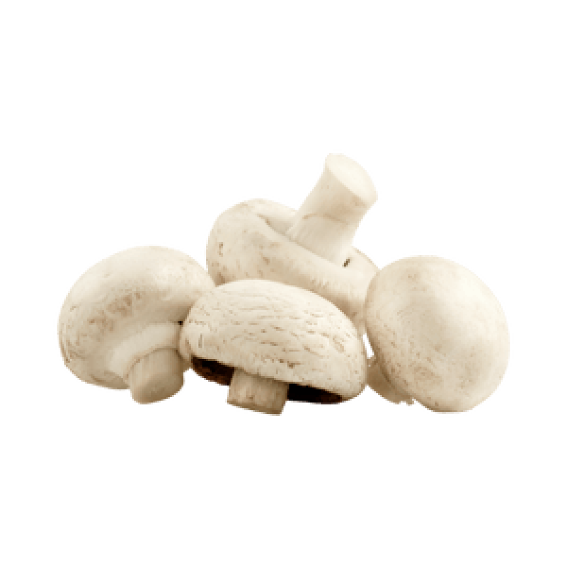 Champignon blanc de Paris (500gr)