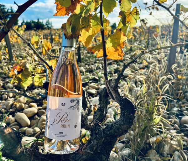 Domaine le Père Brun - Rosé