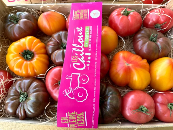Tomate ancienne pleine terre 800g - Happy