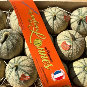 Melon 1p - Happy
