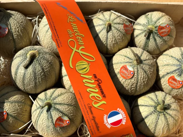 Melon 1p - Happy
